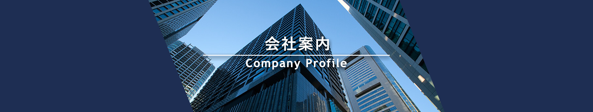 会社案内 Company Profile